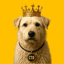 Charles (KING) logo