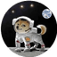 Dogz (DOGZ) logo